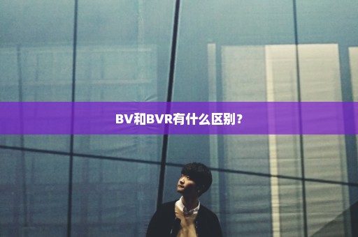 BV和BVR有什么区别？