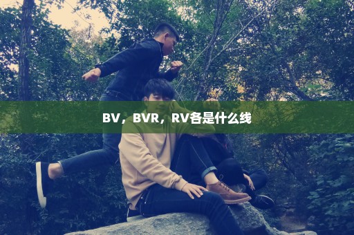 BV，BVR，RV各是什么线