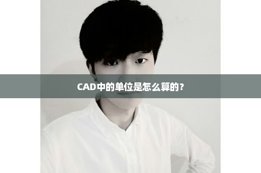 CAD中的单位是怎么算的？