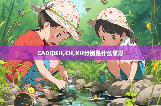 CAD中SH,CH,XH分别是什么意思