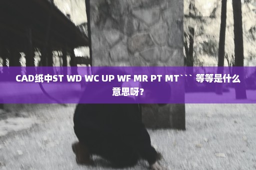 CAD纸中ST WD WC UP WF MR PT MT``` 等等是什么意思呀？