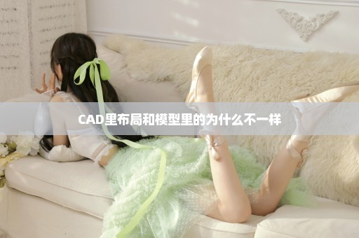 CAD里布局和模型里的为什么不一样