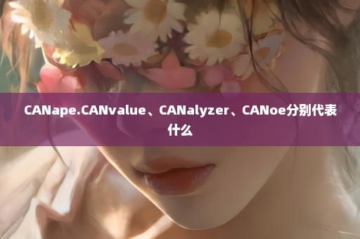 CANape.CANvalue、CANalyzer、CANoe分别代表什么