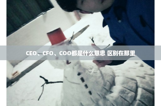 CEO、CFO、COO都是什么意思 区别在那里