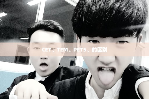 CET、TEM、PETS、的区别