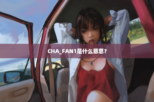 CHA_FAN1是什么意思？