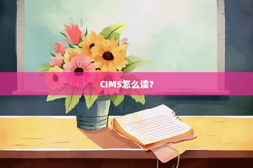 CIMS怎么读？