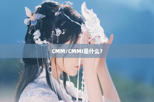 CMM/CMMI是什么？