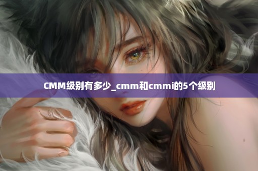 CMM级别有多少_cmm和cmmi的5个级别