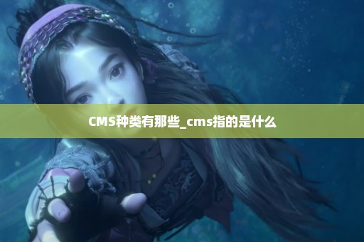 CMS种类有那些_cms指的是什么