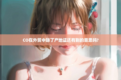 CO在外贸中除了产地证还有别的意思吗?