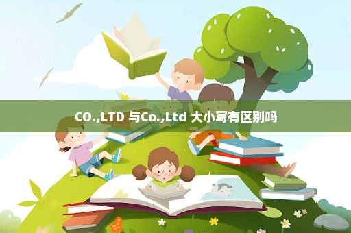 CO.,LTD 与Co.,Ltd 大小写有区别吗