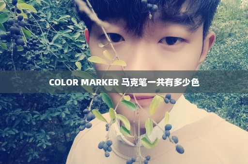 COLOR MARKER 马克笔一共有多少色