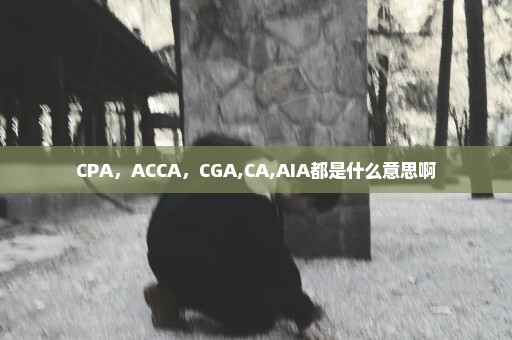 CPA，ACCA，CGA,CA,AIA都是什么意思啊