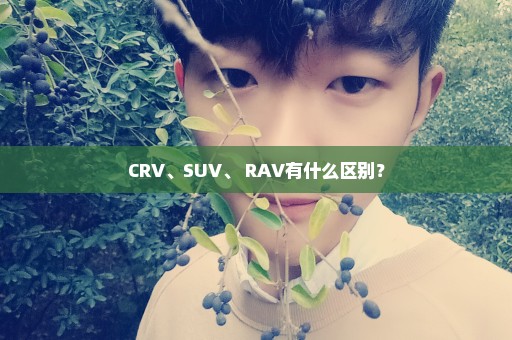 CRV、SUV、 RAV有什么区别？