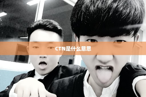 CTN是什么意思