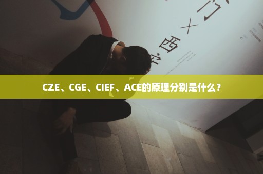 CZE、CGE、CIEF、ACE的原理分别是什么？