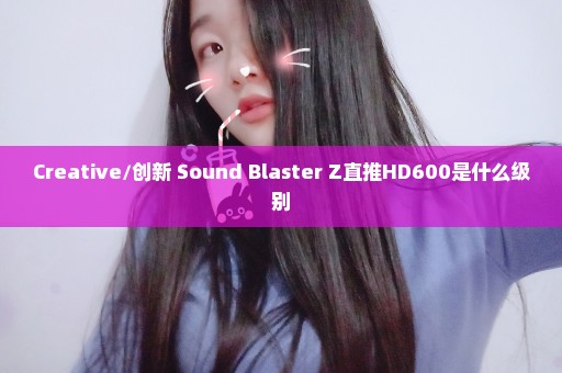 Creative/创新 Sound Blaster Z直推HD600是什么级别