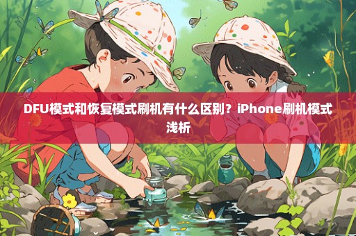 DFU模式和恢复模式刷机有什么区别？iPhone刷机模式浅析