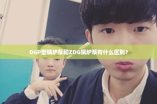 DGP型锅炉泵和ZDG锅炉泵有什么区别？