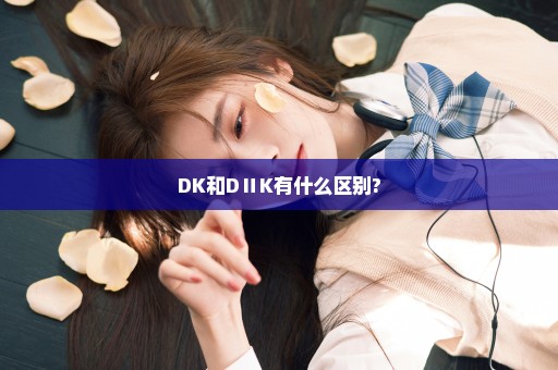 DK和DⅡK有什么区别?