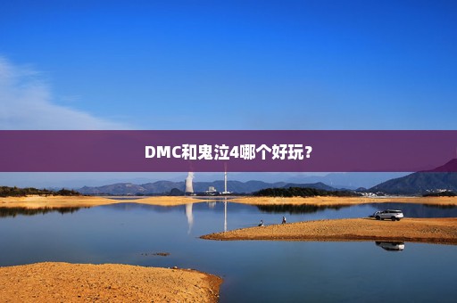 DMC和鬼泣4哪个好玩？