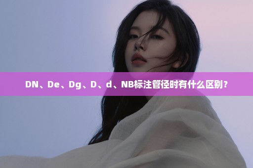 DN、De、Dg、D、d、NB标注管径时有什么区别？