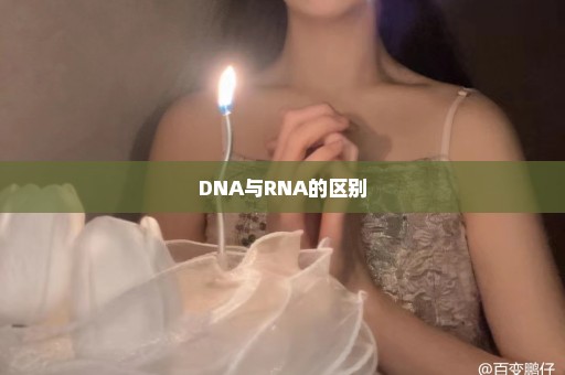 DNA与RNA的区别