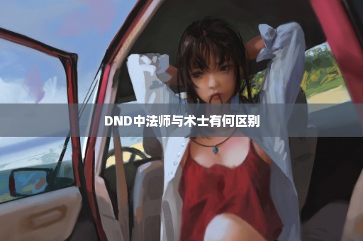 DND中法师与术士有何区别