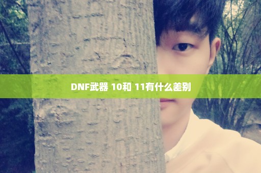 DNF武器+10和+11有什么差别