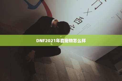 DNF2021年套宠物怎么样