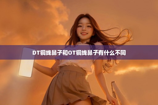 DT铜线鼻子和OT铜线鼻子有什么不同