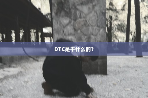 DTC是干什么的？