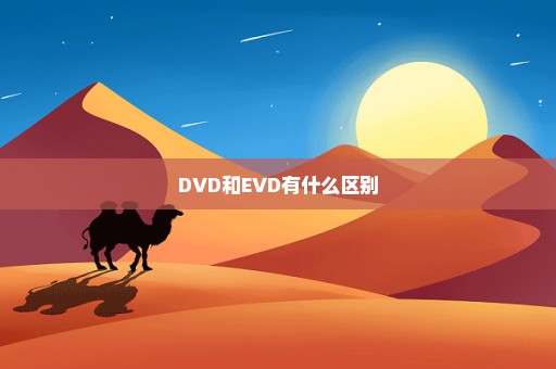 DVD和EVD有什么区别