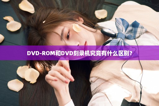 DVD-ROM和DVD刻录机究竟有什么区别？