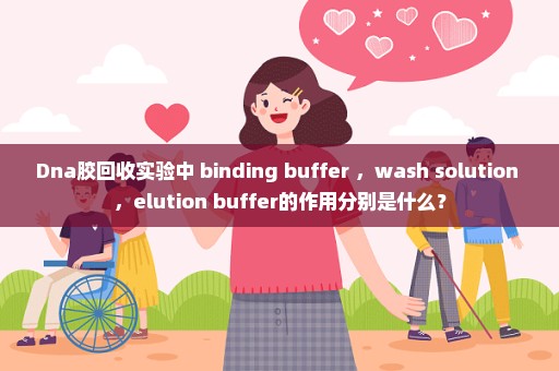 Dna胶回收实验中 binding buffer ，wash solution ，elution buffer的作用分别是什么？