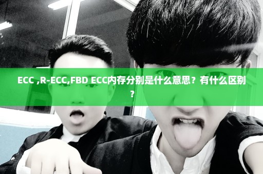 ECC ,R-ECC,FBD ECC内存分别是什么意思？有什么区别？