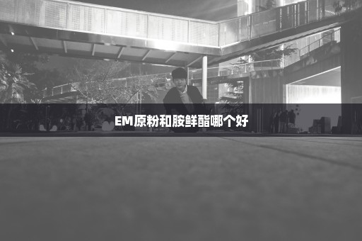 EM原粉和胺鲜酯哪个好