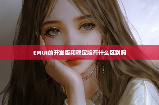 EMUI的开发版和稳定版有什么区别吗