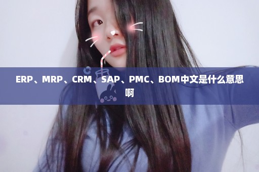 ERP、MRP、CRM、SAP、PMC、BOM中文是什么意思啊