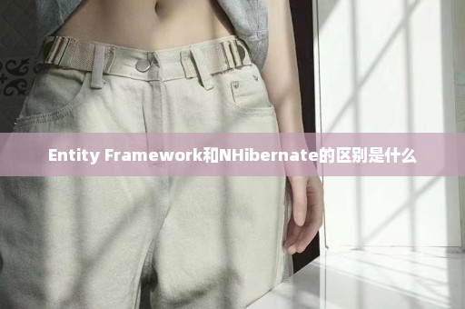 Entity Framework和NHibernate的区别是什么