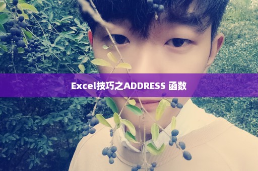 Excel技巧之ADDRESS 函数