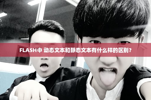 FLASH中 动态文本和静态文本有什么样的区别？