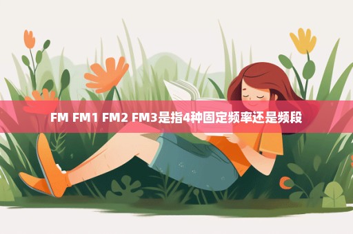 FM FM1 FM2 FM3是指4种固定频率还是频段