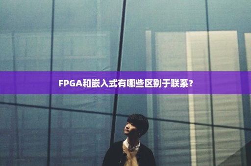 FPGA和嵌入式有哪些区别于联系？