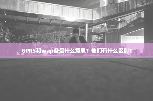 GPRS和wap各是什么意思？他们有什么区别？