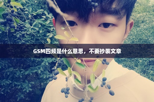 GSM四频是什么意思，不要抄袭文章