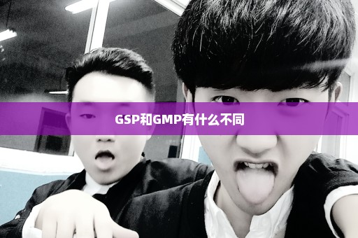 GSP和GMP有什么不同