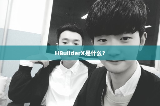 HBuilderX是什么？