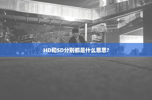 HD和SD分别都是什么意思?